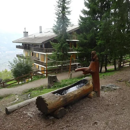 דירה The White Fox's Family - ויסונה