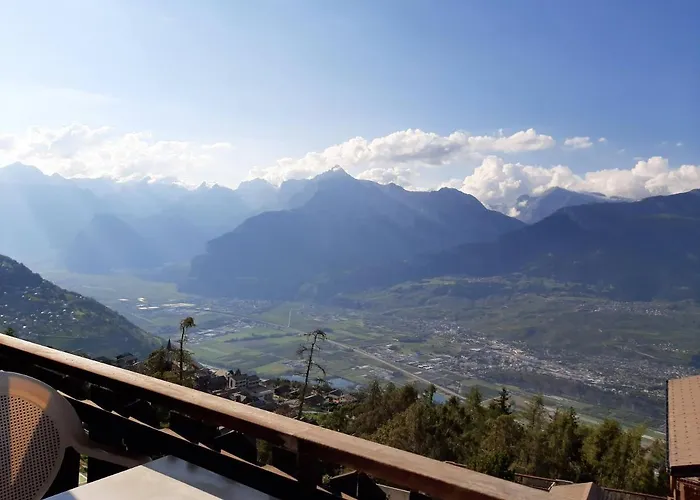 The White Fox's Family - *